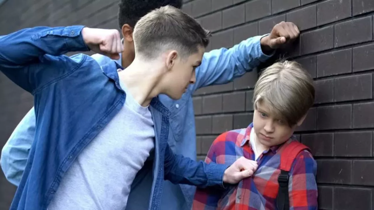 Social Pressures Facing High Schoolers - Bullying, drugs, drinking, relationships
